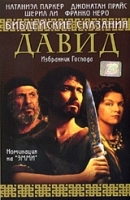 Библейские сказания: Давид артикул 8093a.