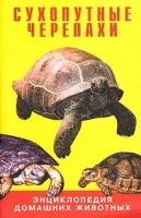 Сухопутные черепахи артикул 7885a.
